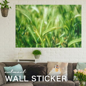 EH[XebJ[ A[gpl A[g ǎV[ ǃV[ CeA XebJ[ ʐ^  ǎ k R   lC Y  Vbv rO ItBX _CjO 