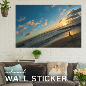 EH[XebJ[ A[gpl A[g ǎV[ ǃV[ CeA XebJ[ ʐ^  ǎ k R   lC Y  Vbv rO ItBX _CjO 