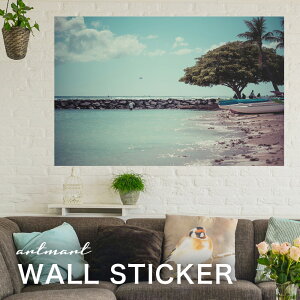 EH[XebJ[ A[gpl A[g ǎV[ ǃV[ CeA XebJ[ ʐ^  ǎ k R   lC Y  Vbv rO ItBX _CjO 