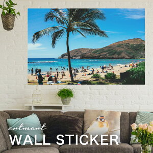 EH[XebJ[ A[gpl A[g ǎV[ ǃV[ CeA XebJ[ ʐ^  ǎ k R   lC Y  Vbv rO ItBX _CjO 