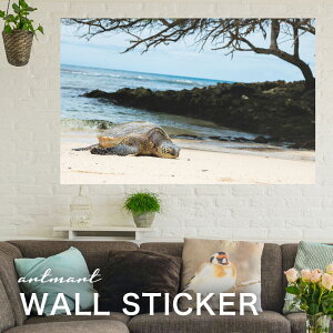 EH[XebJ[ A[gpl A[g ǎV[ ǃV[ CeA XebJ[ ʐ^  ǎ k R   lC Y  Vbv rO ItBX _CjO 