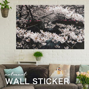 EH[XebJ[ A[gpl A[g ǎV[ ǃV[ CeA XebJ[ ʐ^  ǎ k R   lC Y  Vbv rO ItBX _CjO 