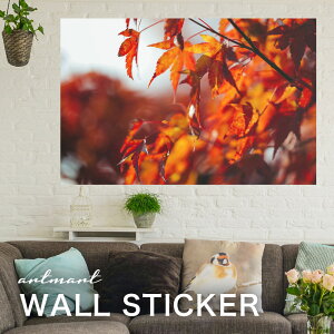 EH[XebJ[ A[gpl A[g ǎV[ ǃV[ CeA XebJ[ ʐ^  ǎ k R   lC Y  Vbv rO ItBX _CjO 