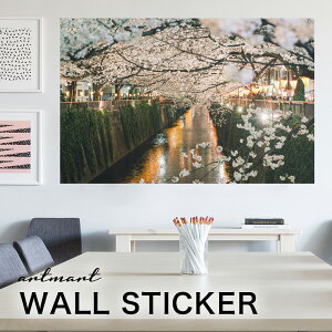 EH[XebJ[ A[gpl A[g ǎV[ ǃV[ CeA XebJ[ ʐ^  ǎ k R   lC Y  Vbv rO ItBX _CjO 