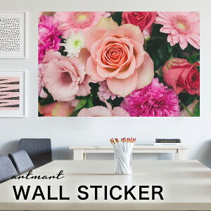 EH[XebJ[ A[gpl A[g ǎV[ ǃV[ CeA XebJ[ ʐ^  ǎ k R   lC Y  Vbv rO ItBX _CjO 