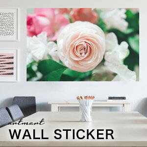 EH[XebJ[ A[gpl A[g ǎV[ ǃV[ CeA XebJ[ ʐ^  ǎ k R   lC Y  Vbv rO ItBX _CjO 