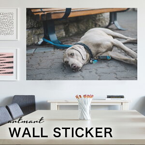 EH[XebJ[ A[gpl A[g ǎV[ ǃV[ CeA XebJ[ ʐ^  ǎ k R   lC Y  Vbv rO ItBX _CjO 