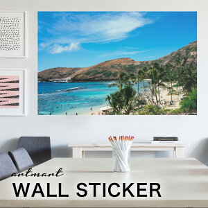 EH[XebJ[ A[gpl A[g ǎV[ ǃV[ CeA XebJ[ ʐ^  ǎ k R   lC Y  Vbv rO ItBX _CjO 