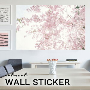 EH[XebJ[ A[gpl A[g ǎV[ ǃV[ CeA XebJ[ ʐ^  ǎ k R   lC Y  Vbv rO ItBX _CjO 