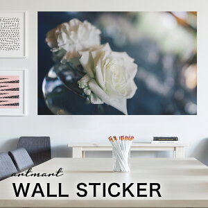 EH[XebJ[ A[gpl A[g ǎV[ ǃV[ CeA XebJ[ ʐ^  ǎ k R   lC Y  Vbv rO ItBX _CjO 