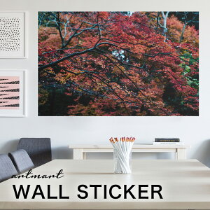 EH[XebJ[ A[gpl A[g ǎV[ ǃV[ CeA XebJ[ ʐ^  ǎ k R   lC Y  Vbv rO ItBX _CjO 