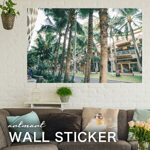 EH[XebJ[ A[gpl A[g ǎV[ ǃV[ CeA XebJ[ ʐ^  ǎ k R   lC Y  Vbv rO ItBX _CjO 