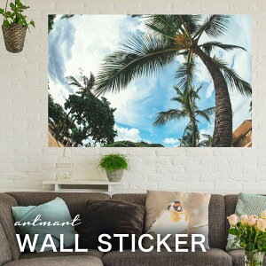 EH[XebJ[ A[gpl A[g ǎV[ ǃV[ CeA XebJ[ ʐ^  ǎ k R   lC Y  Vbv rO ItBX _CjO 