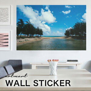 EH[XebJ[ A[gpl A[g ǎV[ ǃV[ CeA XebJ[ ʐ^  ǎ k R   lC Y  Vbv rO ItBX _CjO 