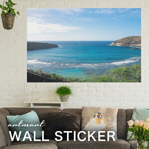 EH[XebJ[ A[gpl A[g ǎV[ ǃV[ CeA XebJ[ ʐ^  ǎ k R   lC Y  Vbv rO ItBX _CjO 