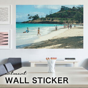 EH[XebJ[ A[gpl A[g ǎV[ ǃV[ CeA XebJ[ ʐ^  ǎ k R   lC Y  Vbv rO ItBX _CjO 