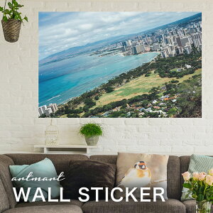 EH[XebJ[ A[gpl A[g ǎV[ ǃV[ CeA XebJ[ ʐ^  ǎ k R   lC Y  Vbv rO ItBX _CjO 