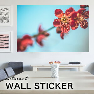 EH[XebJ[ A[gpl A[g ǎV[ ǃV[ CeA XebJ[ ʐ^  ǎ k R   lC Y  Vbv rO ItBX _CjO 