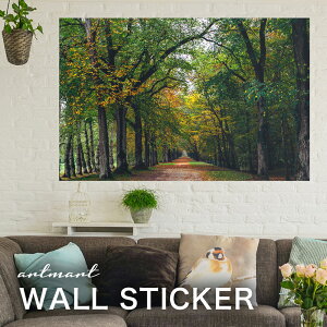 EH[XebJ[ A[gpl A[g ǎV[ ǃV[ CeA XebJ[ ʐ^  ǎ k R   lC Y  Vbv rO ItBX _CjO 