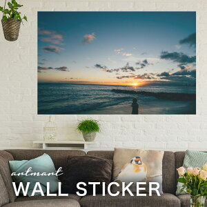 EH[XebJ[ A[gpl A[g ǎV[ ǃV[ CeA XebJ[ ʐ^  ǎ k R   lC Y  Vbv rO ItBX _CjO 