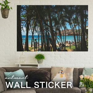 EH[XebJ[ A[gpl A[g ǎV[ ǃV[ CeA XebJ[ ʐ^  ǎ k R   lC Y  Vbv rO ItBX _CjO 