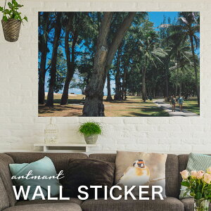 EH[XebJ[ A[gpl A[g ǎV[ ǃV[ CeA XebJ[ ʐ^  ǎ k R   lC Y  Vbv rO ItBX _CjO 