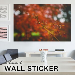 EH[XebJ[ A[gpl A[g ǎV[ ǃV[ CeA XebJ[ ʐ^  ǎ k R   lC Y  Vbv rO ItBX _CjO 