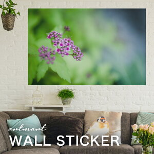 EH[XebJ[ A[gpl A[g ǎV[ ǃV[ CeA XebJ[ ʐ^  ǎ k R   lC Y  Vbv rO ItBX _CjO 