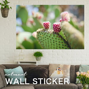 EH[XebJ[ A[gpl A[g ǎV[ ǃV[ CeA XebJ[ ʐ^  ǎ k R   lC Y  Vbv rO ItBX _CjO 