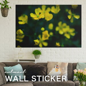 EH[XebJ[ A[gpl A[g ǎV[ ǃV[ CeA XebJ[ ʐ^  ǎ k R   lC Y  Vbv rO ItBX _CjO 