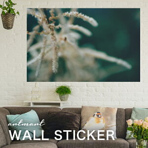 EH[XebJ[ A[gpl A[g ǎV[ ǃV[ CeA XebJ[ ʐ^  ǎ k R   lC Y  Vbv rO ItBX _CjO 