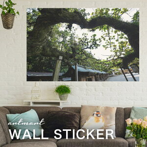 EH[XebJ[ A[gpl A[g ǎV[ ǃV[ CeA XebJ[ ʐ^  ǎ k R   lC Y  Vbv rO ItBX _CjO 