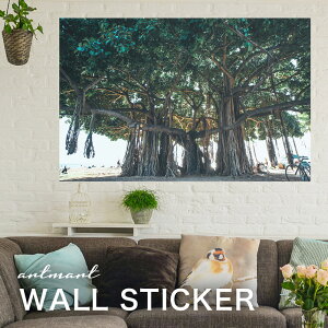 EH[XebJ[ A[gpl A[g ǎV[ ǃV[ CeA XebJ[ ʐ^  ǎ k R   lC Y  Vbv rO ItBX _CjO 