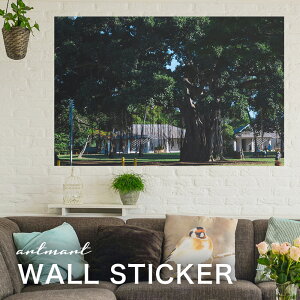 EH[XebJ[ A[gpl A[g ǎV[ ǃV[ CeA XebJ[ ʐ^  ǎ k R   lC Y  Vbv rO ItBX _CjO 