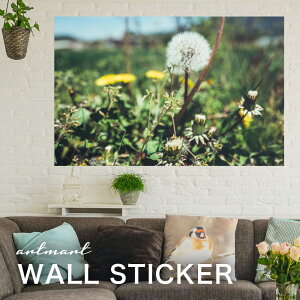 EH[XebJ[ A[gpl A[g ǎV[ ǃV[ CeA XebJ[ ʐ^  ǎ k R   lC Y  Vbv rO ItBX _CjO 