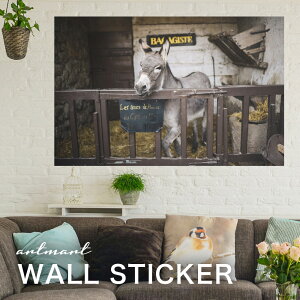 EH[XebJ[ A[gpl A[g ǎV[ ǃV[ CeA XebJ[ ʐ^  ǎ k R   lC Y  Vbv rO ItBX _CjO 