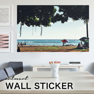 EH[XebJ[ A[gpl A[g ǎV[ ǃV[ CeA XebJ[ ʐ^  ǎ k R   lC Y  Vbv rO ItBX _CjO 