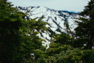 y{zA[gpl {[h artmart A[g}[g ʐ^ A~t[  Y R[fBl[g ǎ z EH[XebJ[ tHg   ItBX ze  a@ z[