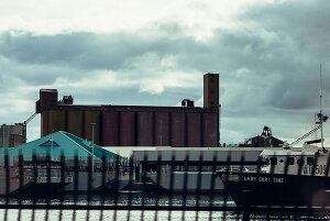 y{zA[gpl {[h artmart A[g}[g ʐ^ A~t[  Y R[fBl[g ǎ z EH[XebJ[ tHg   ItBX ze  a@ z[