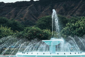 y{zA[gpl {[h artmart A[g}[g ʐ^ A~t[  Y R[fBl[g ǎ z EH[XebJ[ tHg   ItBX ze  a@ z[