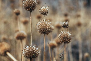 y{zA[gpl {[h artmart A[g}[g ʐ^ A~t[  Y R[fBl[g ǎ z EH[XebJ[ tHg   ItBX ze  a@ z[