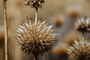 y{zA[gpl {[h artmart A[g}[g ʐ^ A~t[  Y R[fBl[g ǎ z EH[XebJ[ tHg   ItBX ze  a@ z[