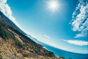 y{zA[gpl {[h artmart A[g}[g ʐ^ A~t[  Y R[fBl[g ǎ z EH[XebJ[ tHg   ItBX ze  a@ z[