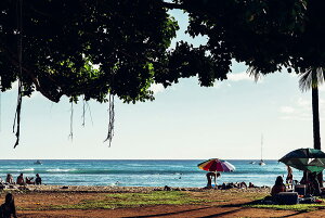 y{zA[gpl {[h artmart A[g}[g ʐ^ A~t[  Y R[fBl[g ǎ z EH[XebJ[ tHg   ItBX ze  a@ z[