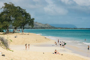 y{zA[gpl {[h artmart A[g}[g ʐ^ A~t[  Y R[fBl[g ǎ z EH[XebJ[ tHg   ItBX ze  a@ z[