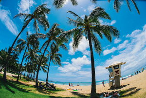 y{zA[gpl {[h artmart A[g}[g ʐ^ A~t[  Y R[fBl[g ǎ z EH[XebJ[ tHg   ItBX ze  a@ z[