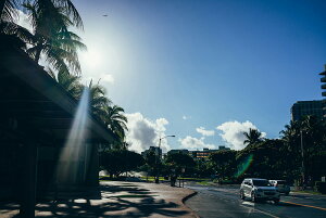 y{zA[gpl {[h artmart A[g}[g ʐ^ A~t[  Y R[fBl[g ǎ z EH[XebJ[ tHg   ItBX ze  a@ z[