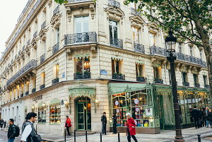 y{zA[gpl {[h artmart A[g}[g ʐ^ A~t[  Y R[fBl[g ǎ z EH[XebJ[ tHg   ItBX ze  a@ z[