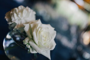 y{zA[gpl {[h artmart A[g}[g ʐ^ A~t[  Y R[fBl[g ǎ z EH[XebJ[ tHg   ItBX ze  a@ z[