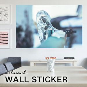 EH[XebJ[ A[gpl A[g ǎV[ ǃV[ CeA XebJ[ ʐ^  ǎ k R   lC Y  Vbv rO ItBX _CjO 